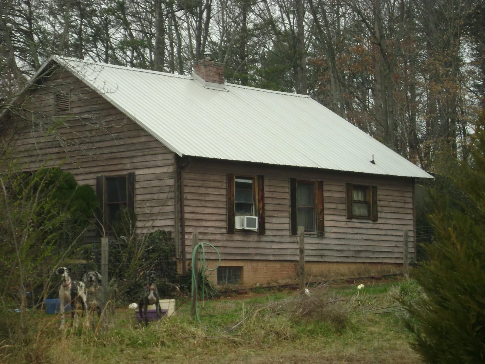 White metal roof on an old wood sided farmhouse, from a Asphalt Shingle Roof Repair job in Le Grand
